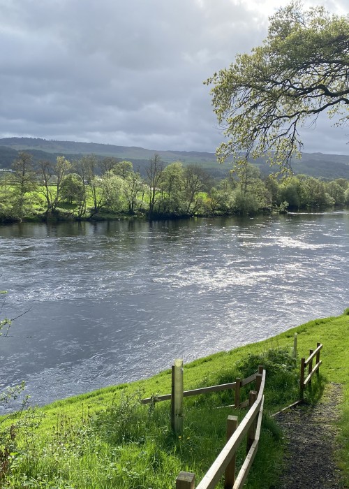 This is the grass bank walkway from the Upper Kinnaird salmon fishing hut down to the River Tay where the boats are kept. There's also an excellent salmon lie in this shot where you see that riffled water slightly to the right of frame and approx 20 yards out from the riverbank. This perfect salmon lie is called Daffodil Lie.