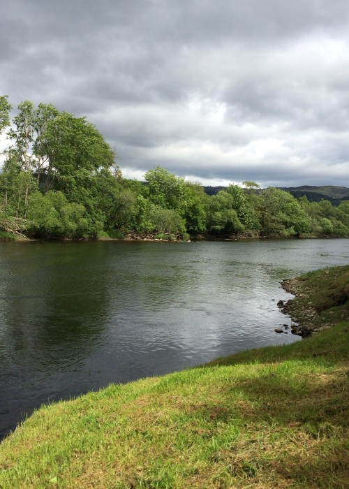 The slower deeper moving stretches of the River Tay upstream of the River Tummel/Tay confluence often produce pike as these fish prefer this type of water much more that streamy salmon fly water. I've seen pike landed by salmon fishers up to 20lbs in weight however they are a rare occurrence compared to catching salmon on the Tay.
