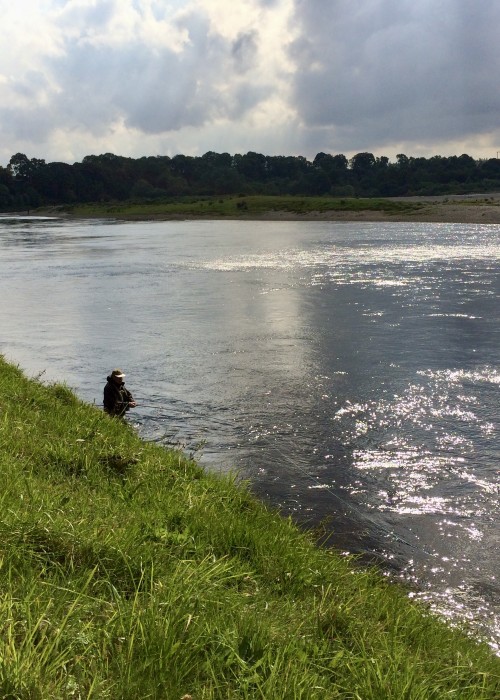 Look at this for salmon fly fishing perfection. This is the tail section of the lovely Gean Tree salmon pool near the Perthshire village of Murthly. Soon after this shot was taken the angler landed a Summer salmon and as I took this photograph I fully expected him to do just that.
