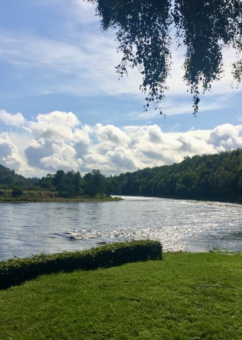 What a great view looking down the tail of the 'Cottar Pool' onto the 'Boil Pool' then in the far distance the 'Steps Pool'. Amazing professional career memories flood back when I look at this reoccurring River Tay dream scene!
