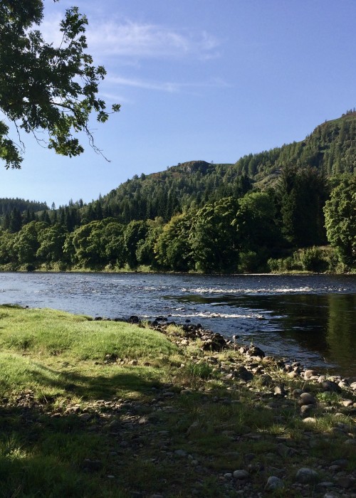 Here's a picture postcard shot looking down onto the tail of The Trap Pool and onto the Cottar Pool on the Newtyle salmon beat of the River Tay. The dark glassy water at the tail of The Trap is indeed a serious salmon fishing hot spot.
