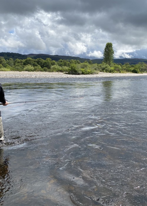 Here's an educated salmon angler displaying perfect 'no disturbance' wading technique while fishing down the right hand bank of the March Pool on Kinnaird. This type of approach will massively assist you chances of hooking salmon and especially close lying fish.