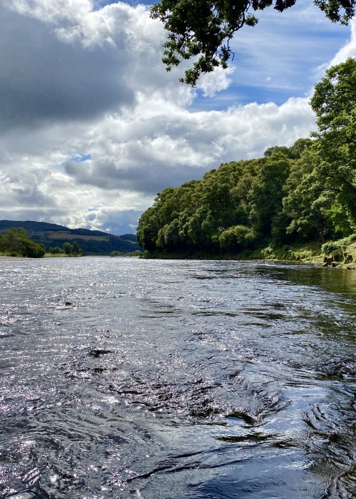 You can clearly see the sub surface riverbed stones commotion in the foreground. The broken water 20 yards behind the commotion is a great salmon lie as these stones break the flow. You can see the dark glassy patches marking the salmon lie. This is the March Pool near Dunkeld on the River Tay.