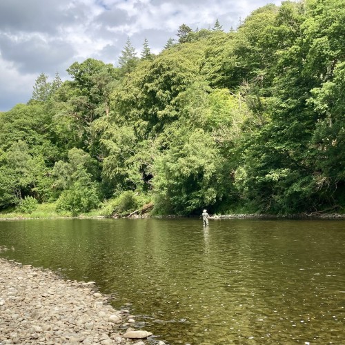 Here's a lovely Summer shot of the River Tweed near Galashiels which is an amazing area of the middle Tweed. In low clear warm water conditions like this you need a delicate salmon fly presentation.