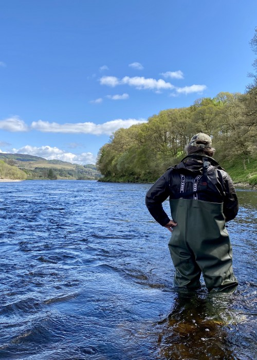 This is early May on the middle River Tay between Pitlochry & Dunkeld which is a renowned salmon fishing hot spot. Look at the perfect blue sky & water and the new leaves starting to appear on the riverside trees. This fine shot was taken from the right hand bank of the March Pool which is a particularly good salmon pool during Springtime.