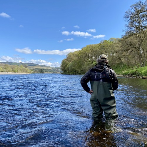 This is early May on the middle River Tay between Pitlochry & Dunkeld which is a renowned salmon fishing hot spot. Look at the perfect blue sky & water and the new leaves starting to appear on the riverside trees. This fine shot was taken from the right hand bank of the March Pool which is a particularly good salmon pool during Springtime.