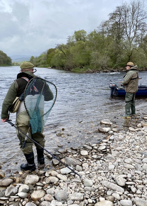 Here's one of our salmon guides keeping a close eye on his fishing guest at the mouth of the River Tummel where it enters the River Tay near Dunkeld. This is a renowned salmon fishing 'hot spot' during the Spring months and this photograph was taken in May.