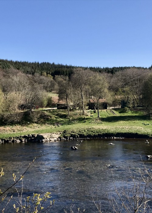 If you look directly across the nearside Glide Pool of the River Dee you'll see the small but very comfortable Invery & Tilquhillie salmon fishing hut nestled in the trees. This is a welcoming lunchtime salmon fishing hut through the early months of Springtime when the wood burning stove has been cranked up!