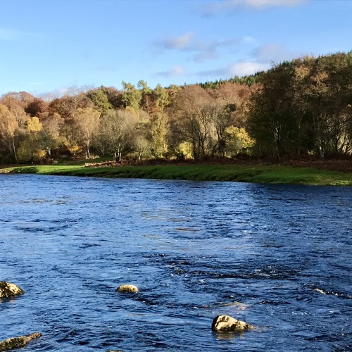 Look across the River Dee here on the Invery & Tilquhillie salmon fishing beat and what do you see? Exactly, and this lovely stretch of water is known as the 'Green Bank' Pool. This pool is located in Banchory and just across and downstream by half a mile from the perfect Banchory Lodge Hotel.