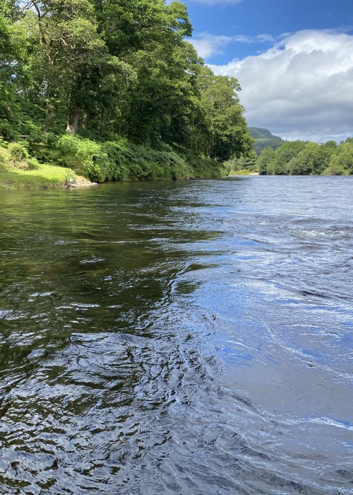 This is the perfect March Pool on the River Tay near Dunkeld. Look how our 'Salmon God' is spot lighting the exact riverbank casting position to make it easy to intercept one of his finest creations. Pay attention to the little signs or notions you experience on the riverbanks and this approach was taught to me 45 years ago by my late River Tay mentor & great friend Willie 'the ghillie Laird who used to refer to such things as 'the nudge'.