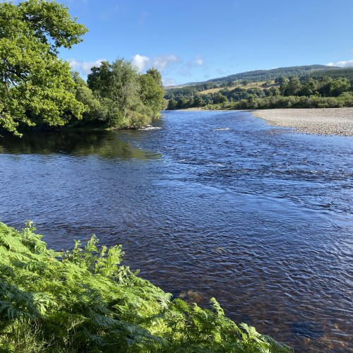 A River Tay Salmon Fisher