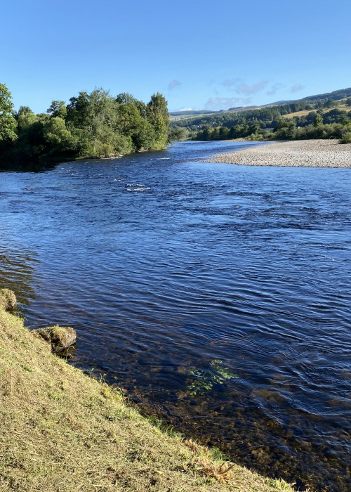 Look at this perfect shot taken at the March Pool of the River Tay's Kinnaird Beat during the most glorious late May day. Dream fishing condition like this always makes me reach for my camera to capture the moment as was the case here.