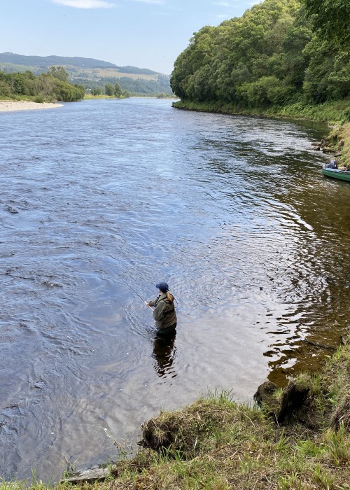 This is the right hand bank of a River Tay salmon pool with a lone angler out searching for some sub-surface cooperation with their fly rod. This is a particularly beautiful area of the River Tay Valley between Dunkeld & Pitlochry.