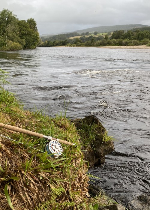 There a few extra feet of water coming dow the River Tay in this photograph. When the Scottish rivers are high like this all you need to do is work the river margins with a short controlled salmon fly as that's where the salmon will be holding and not out in the torrent. This shot was taken near Pitlochry in the River Tay Valley.