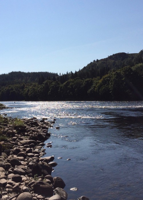 The dark shadowy water is a serious middle River Tay salmon lie called 'The Trap' which I created over 20 years ago while running this beat. Salmon that power up through the fast water below always stop here making it a great fishing spot for salmon anglers.