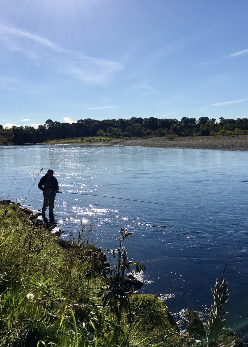 Here's a lone salmon angler on the tail section of the right hand bank of the River Tay's Kercock Beat's Gean Tree Pool. Few fishers put a salmon fly down through this side of the pool as it requires a left hand single Spey cast which most right handed salmon fishers cannot perform well enough. This is however 100% the most productive 'attempt to success' ratio side of the pool to fly fish.